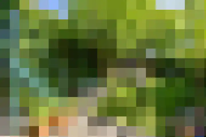 Kerklaan 101 Groningen thumbnail 34