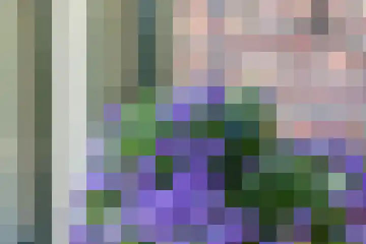 Kerklaan 101 Groningen thumbnail 36