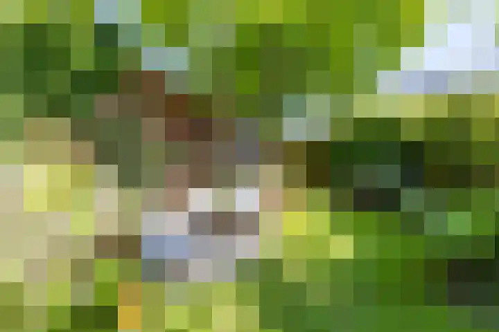 Kerklaan 101 Groningen thumbnail 37