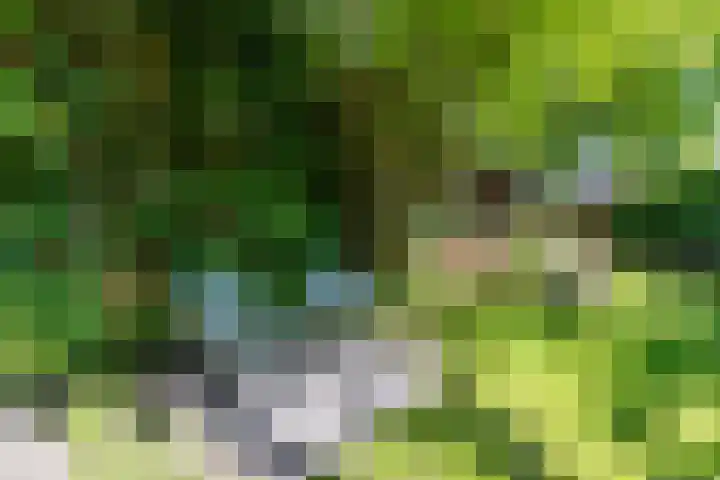 Kerklaan 101 Groningen thumbnail 38