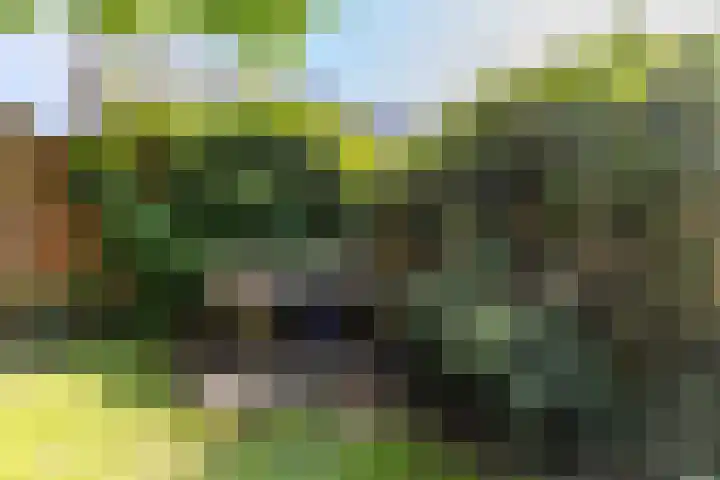 Kerklaan 101 Groningen thumbnail 40