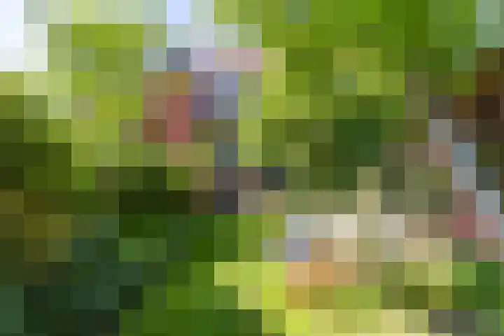 Kerklaan 101 Groningen thumbnail 41