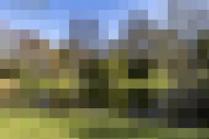 Kerklaan 101 Groningen thumbnail 64