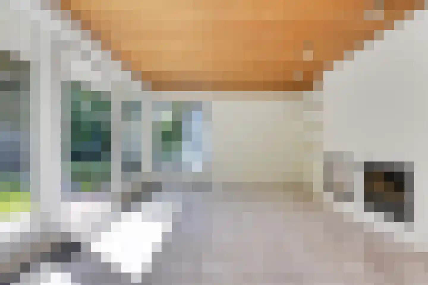 Kerklaan 11 Doorwerth thumbnail 10