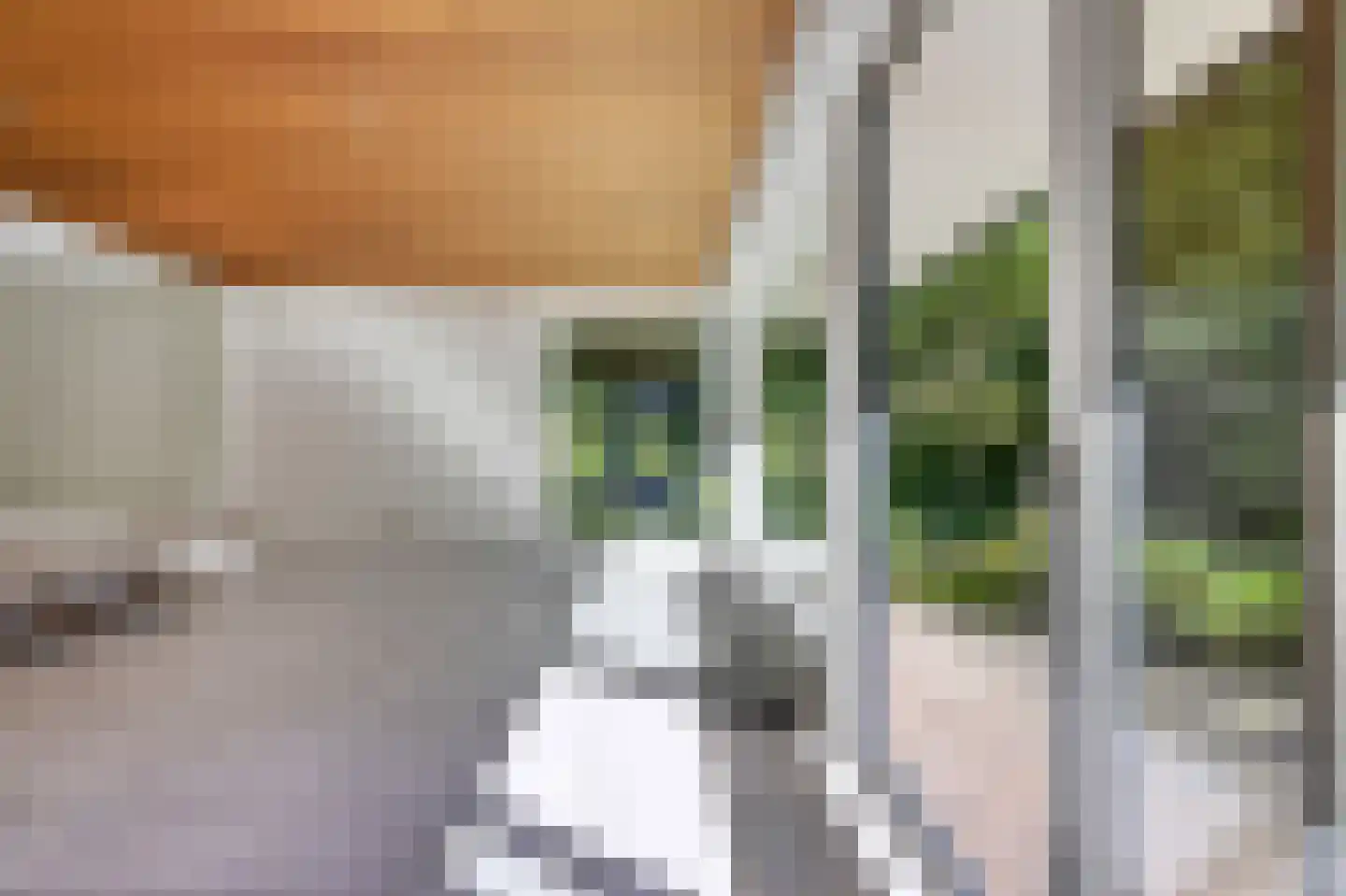 Kerklaan 11 Doorwerth thumbnail 11