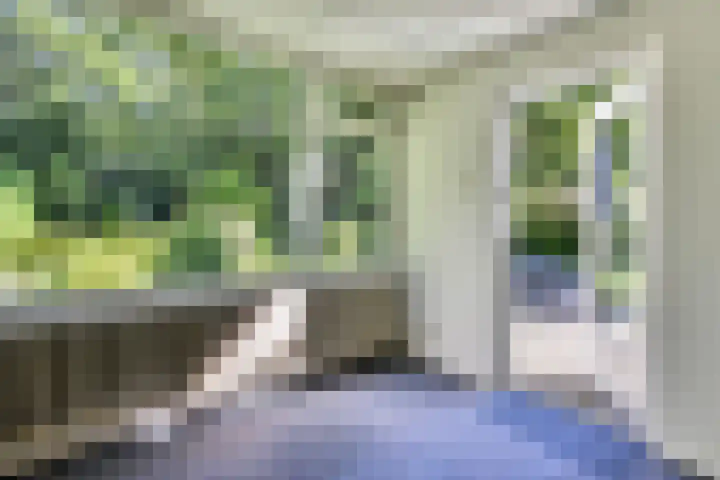 Kerklaan 11 Doorwerth thumbnail 19