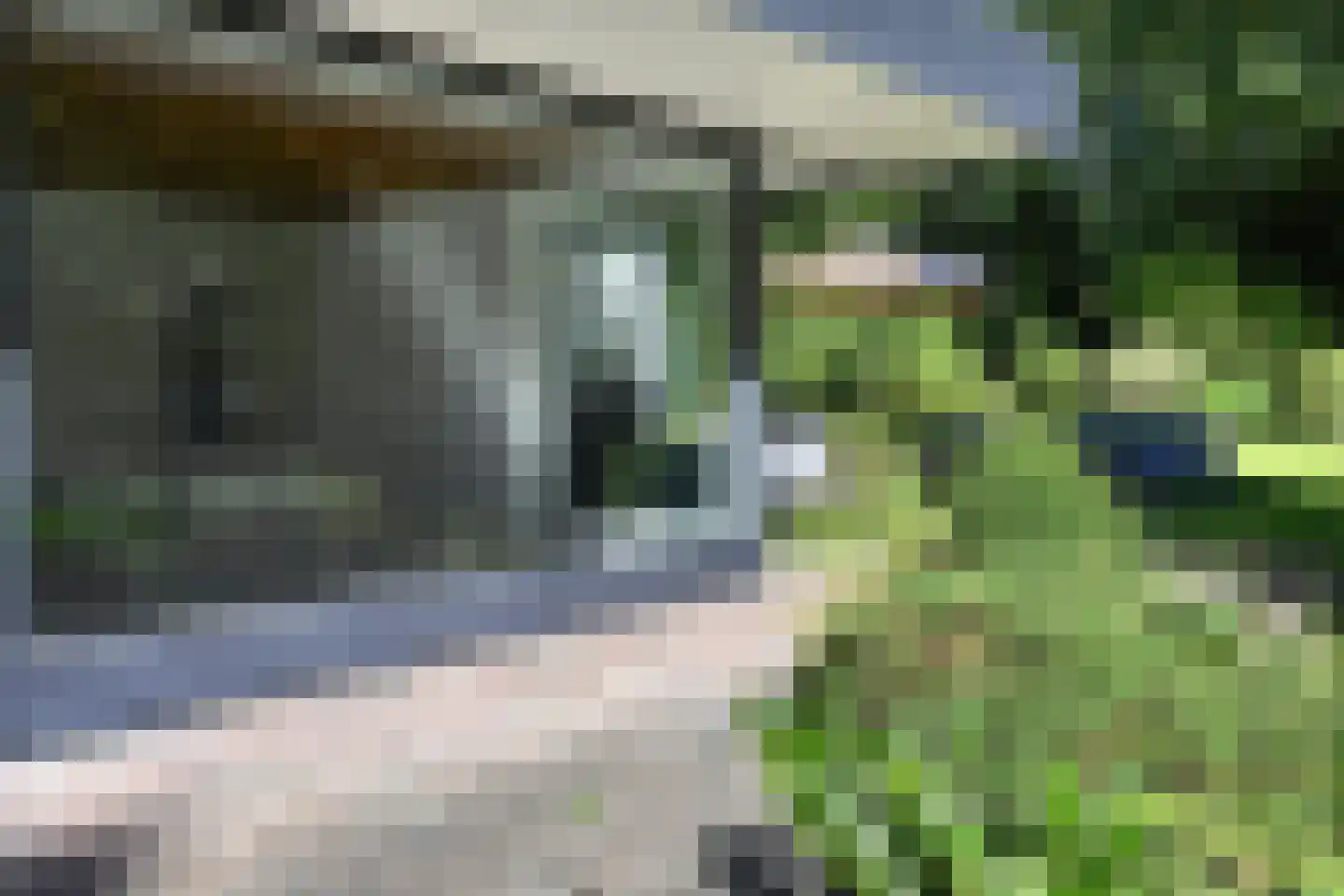 Kerklaan 11 Doorwerth thumbnail 24