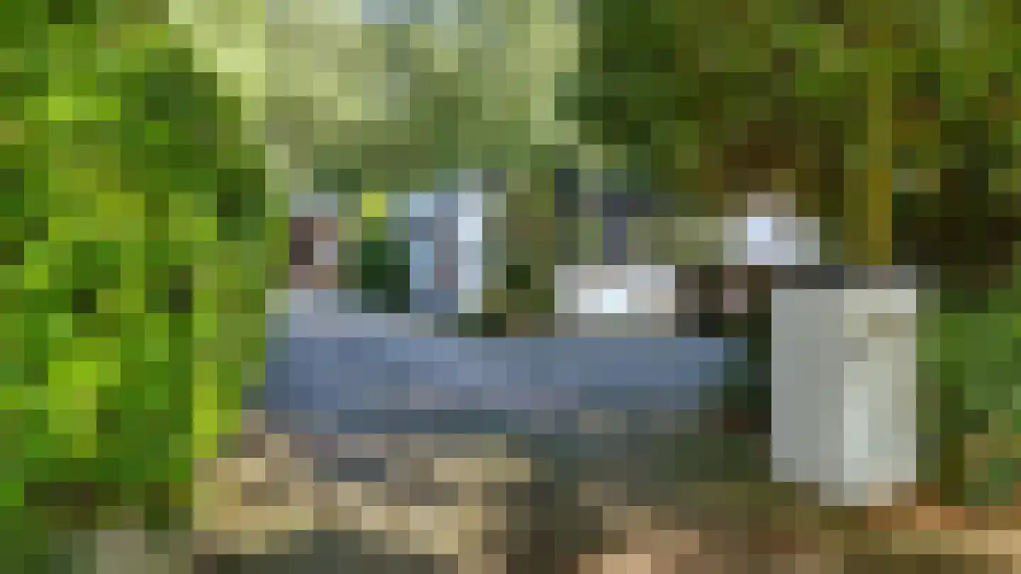 Kerklaan 11 Doorwerth thumbnail 27