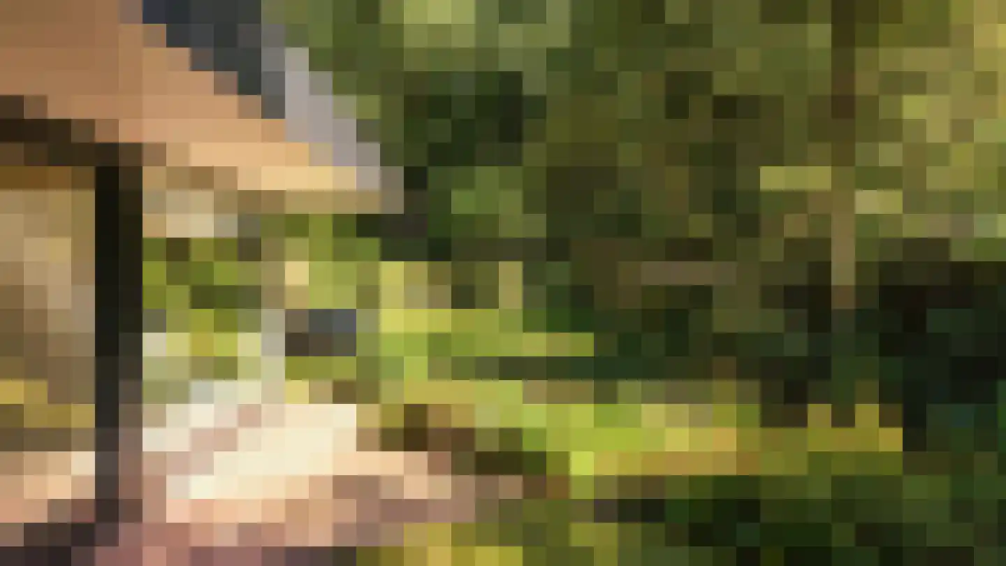 Kerklaan 11 Doorwerth thumbnail 32
