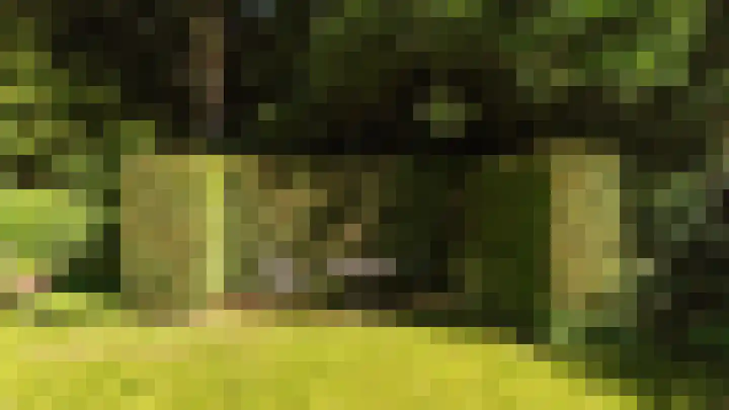 Kerklaan 11 Doorwerth thumbnail 33