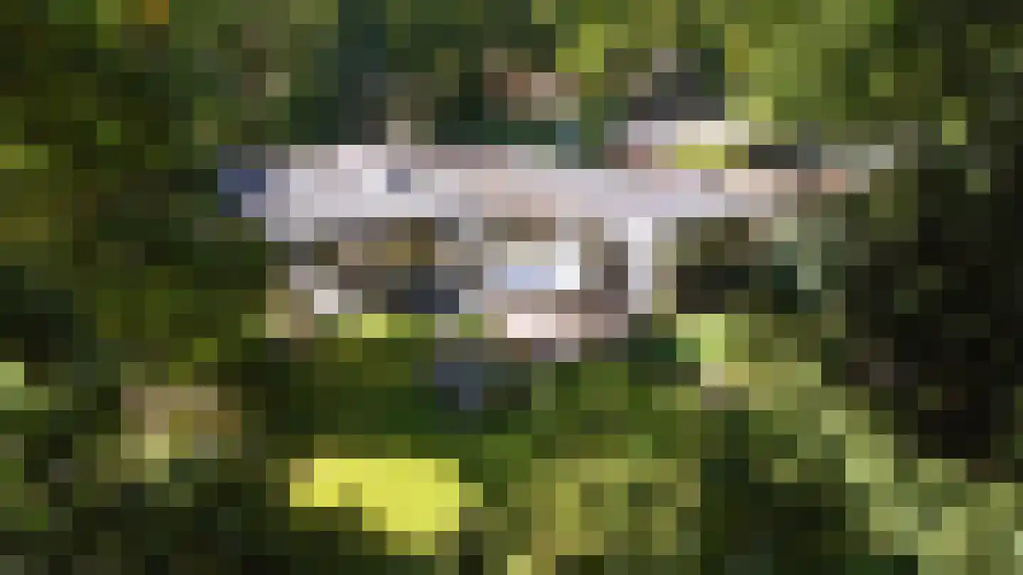 Kerklaan 11 Doorwerth thumbnail 34