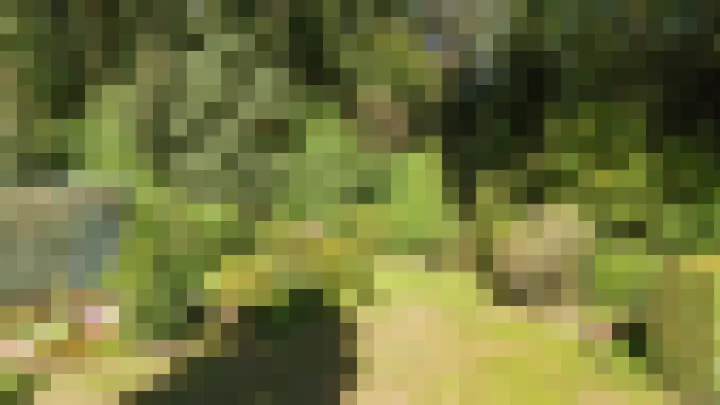 Kerklaan 11 Doorwerth thumbnail 36