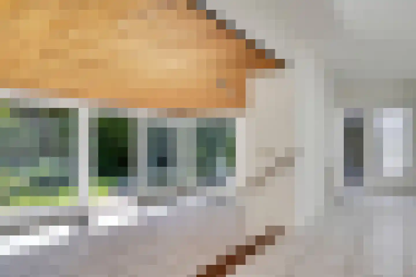 Kerklaan 11 Doorwerth thumbnail 8