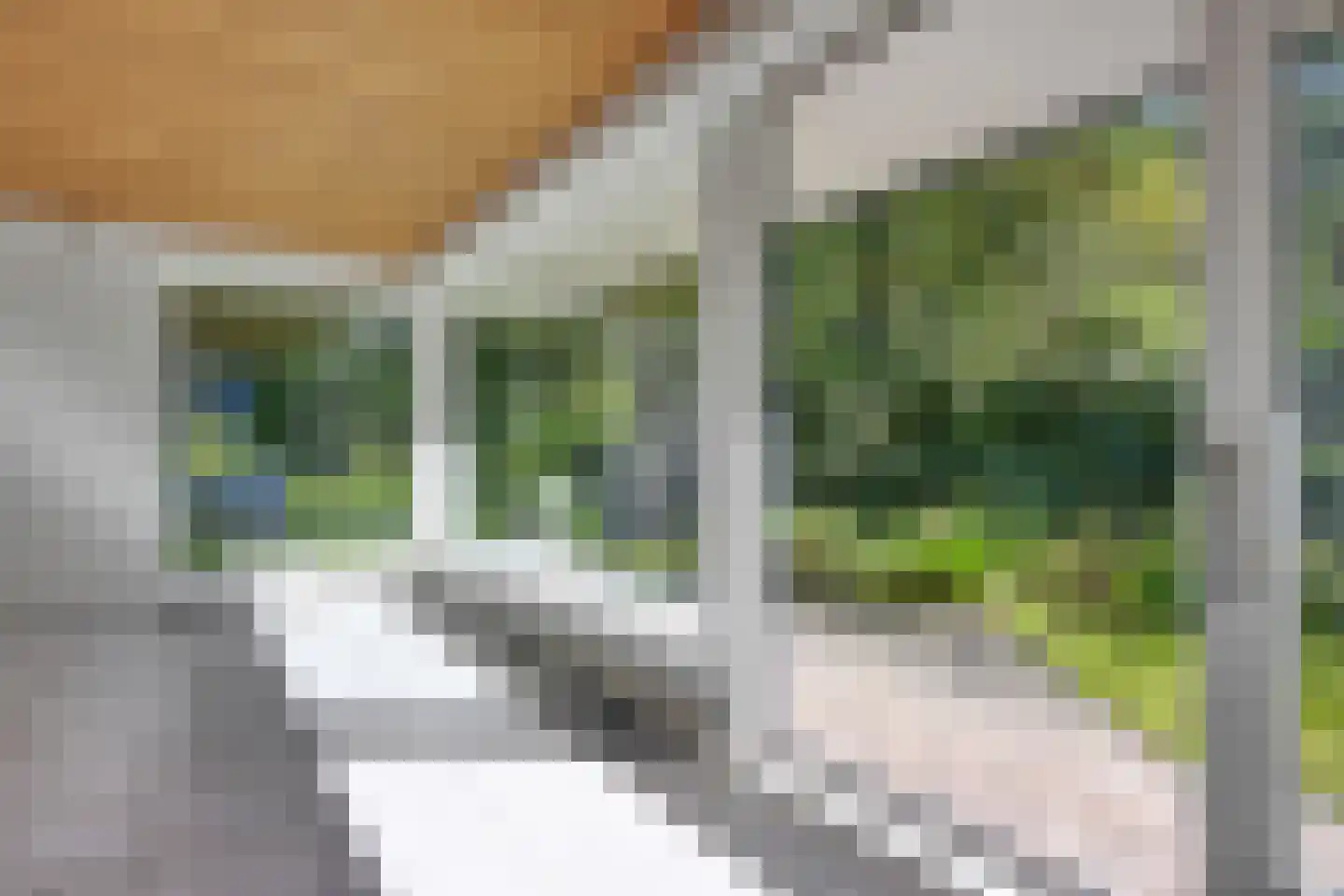 Kerklaan 11 Doorwerth thumbnail 9