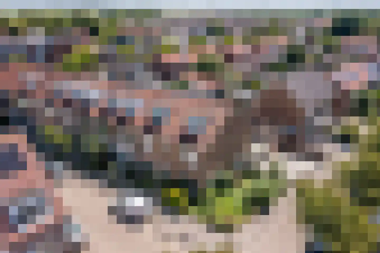 Kerklaan 11 Egmond-Binnen thumbnail 27