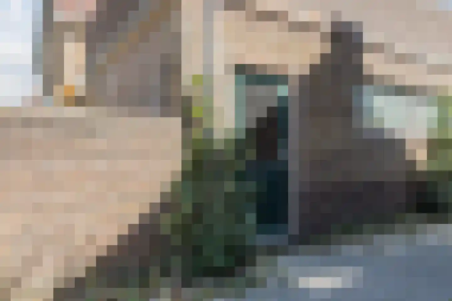 Kerklaan 11 Egmond-Binnen thumbnail 50