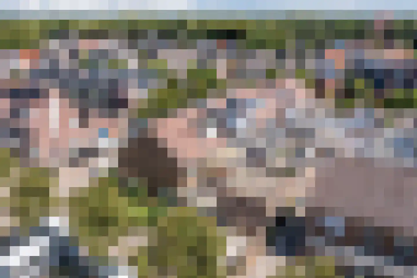 Kerklaan 11 Egmond-Binnen thumbnail 51