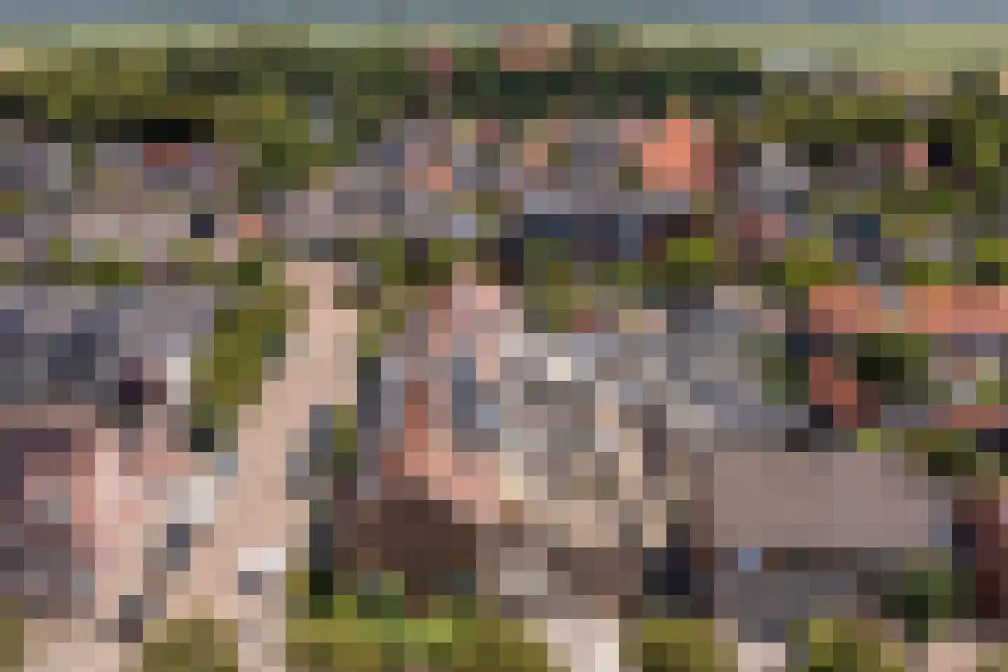 Kerklaan 11 Egmond-Binnen thumbnail 52