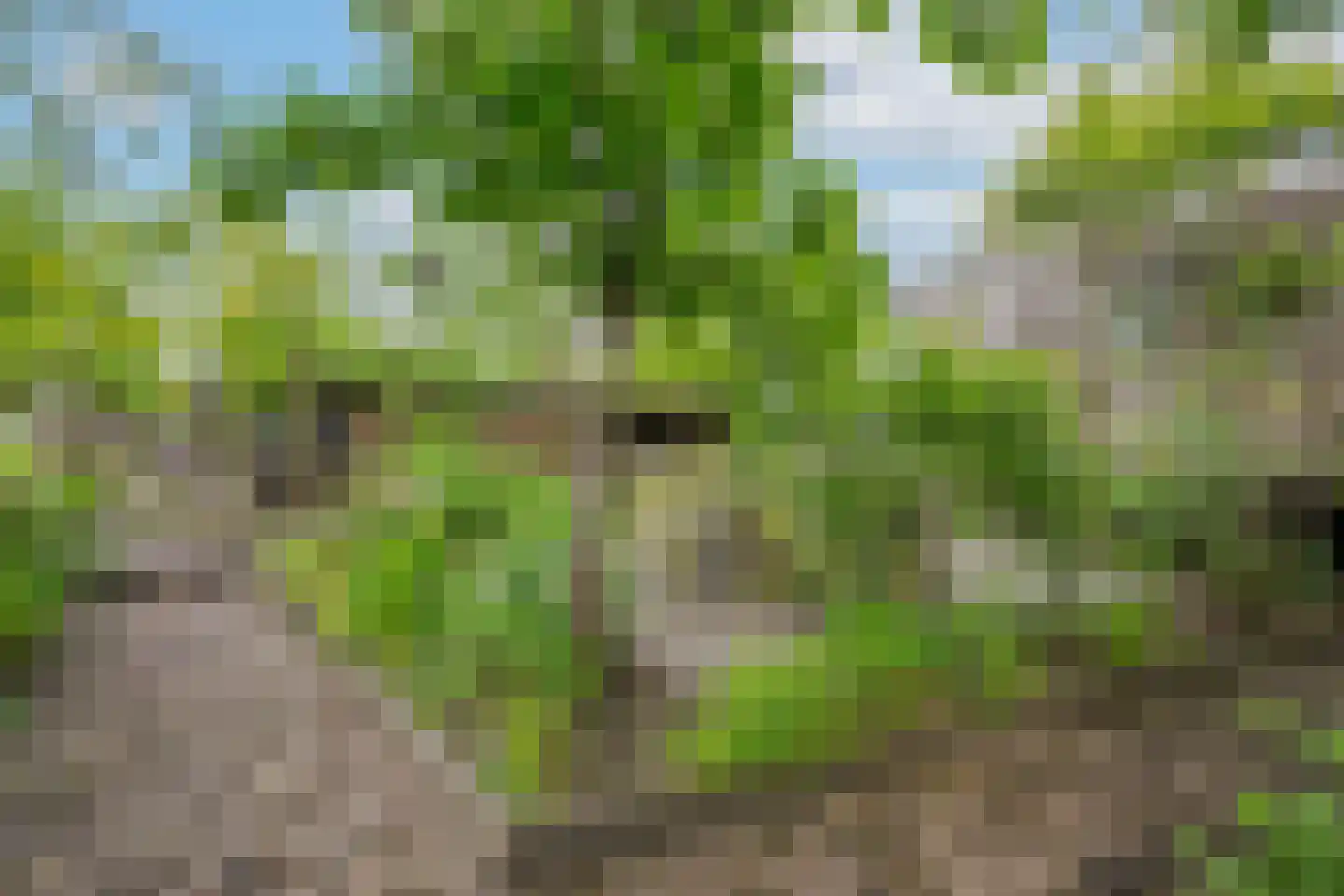 Kerklaan 11 w Leimuiden thumbnail 5