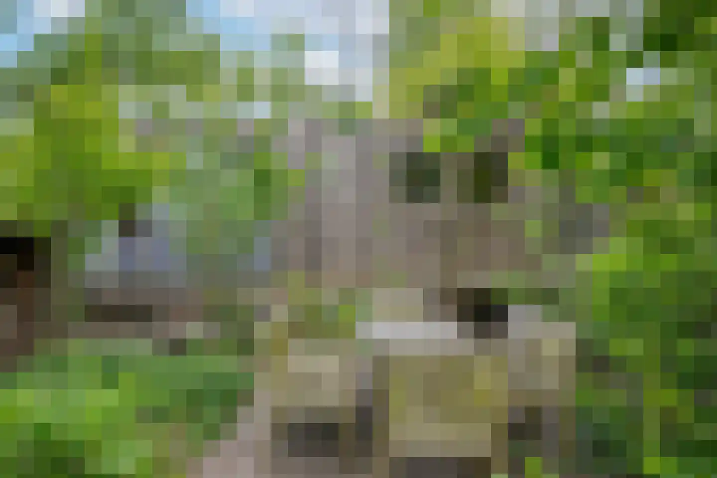 Kerklaan 11 w Leimuiden thumbnail 7