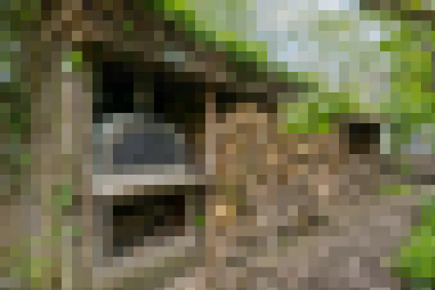 Kerklaan 11 w Leimuiden thumbnail 9
