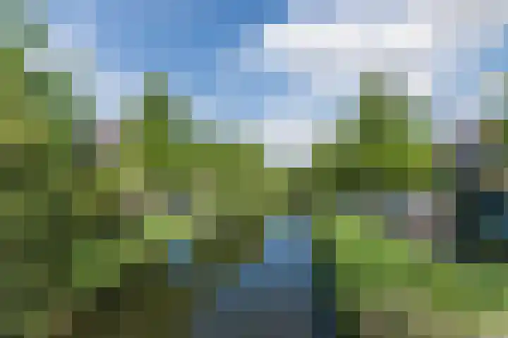 Kerklaan 112 Rijswijk thumbnail 52