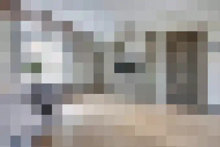 Kerklaan 12 De Lier thumbnail 10