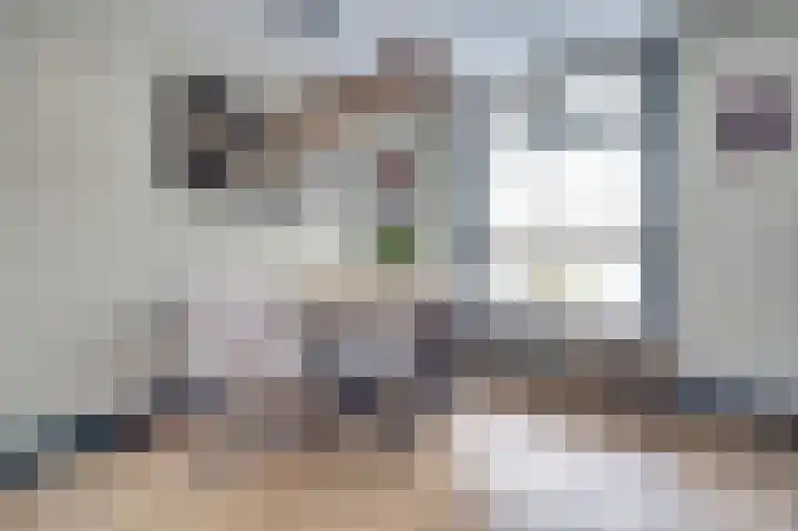 Kerklaan 12 De Lier thumbnail 11