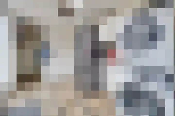 Kerklaan 12 De Lier thumbnail 14