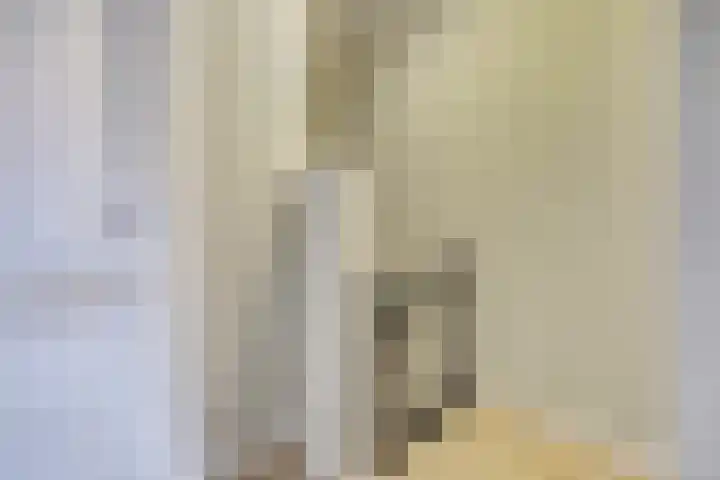 Kerklaan 12 De Lier thumbnail 17