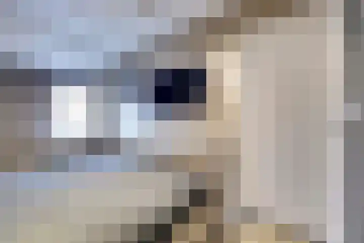 Kerklaan 12 De Lier thumbnail 21