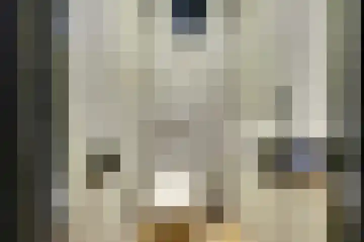 Kerklaan 12 De Lier thumbnail 29