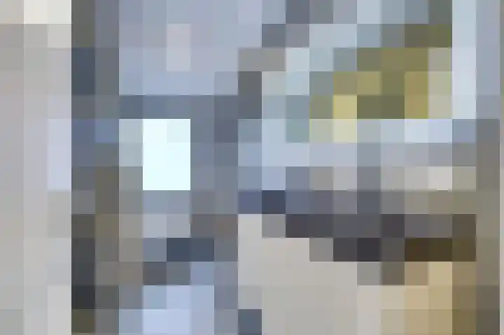 Kerklaan 12 De Lier thumbnail 30