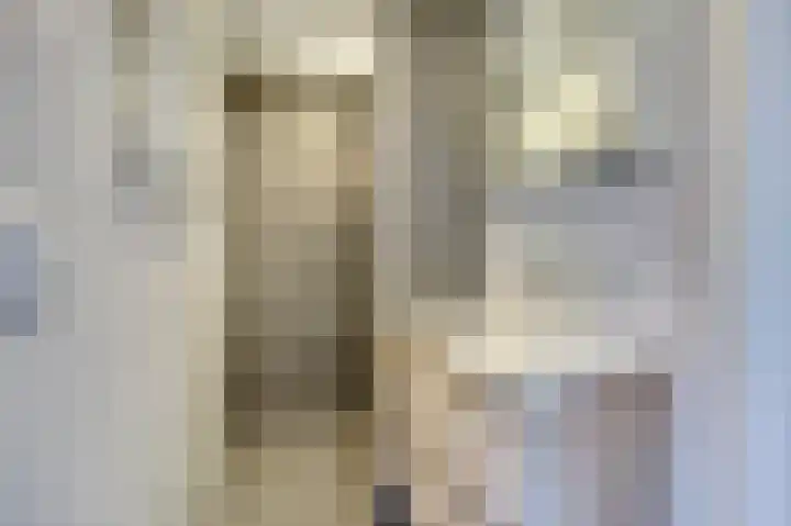 Kerklaan 12 De Lier thumbnail 34