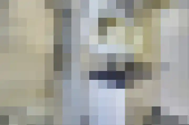 Kerklaan 12 De Lier thumbnail 5