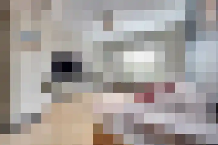 Kerklaan 12 De Lier thumbnail 7