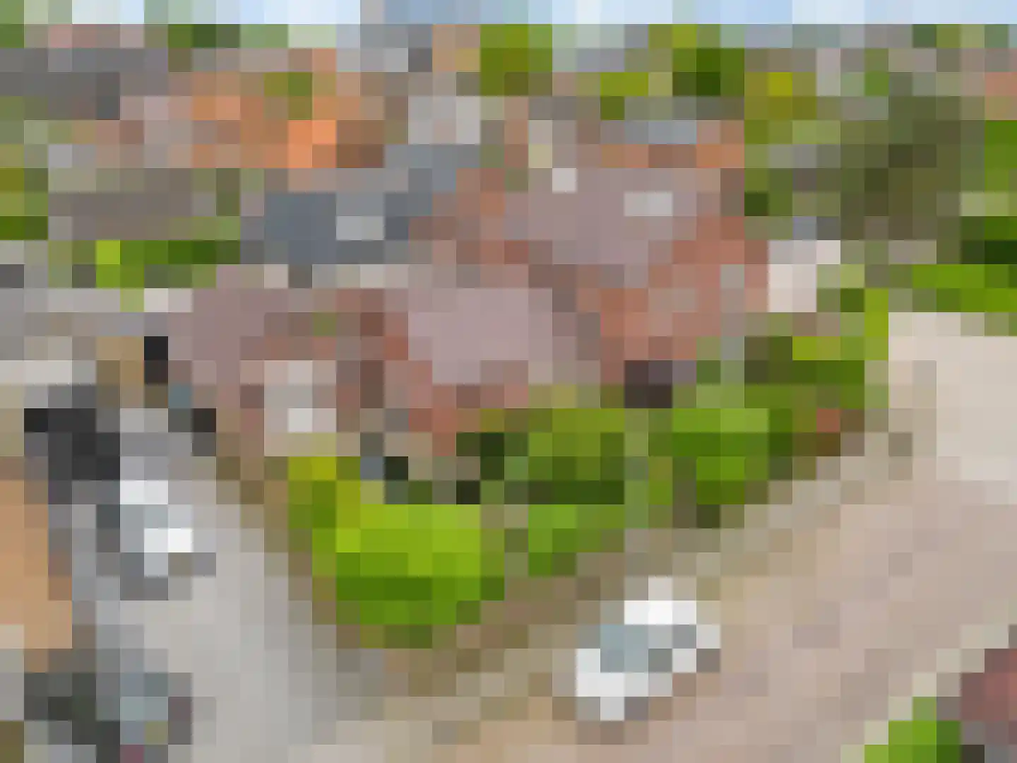 Kerklaan 12 Opheusden thumbnail 4