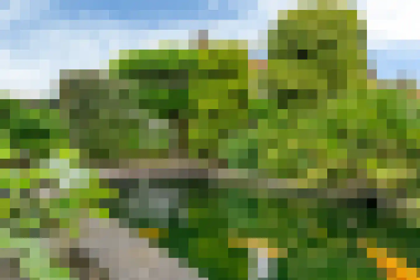Kerklaan 12 Opheusden thumbnail 42