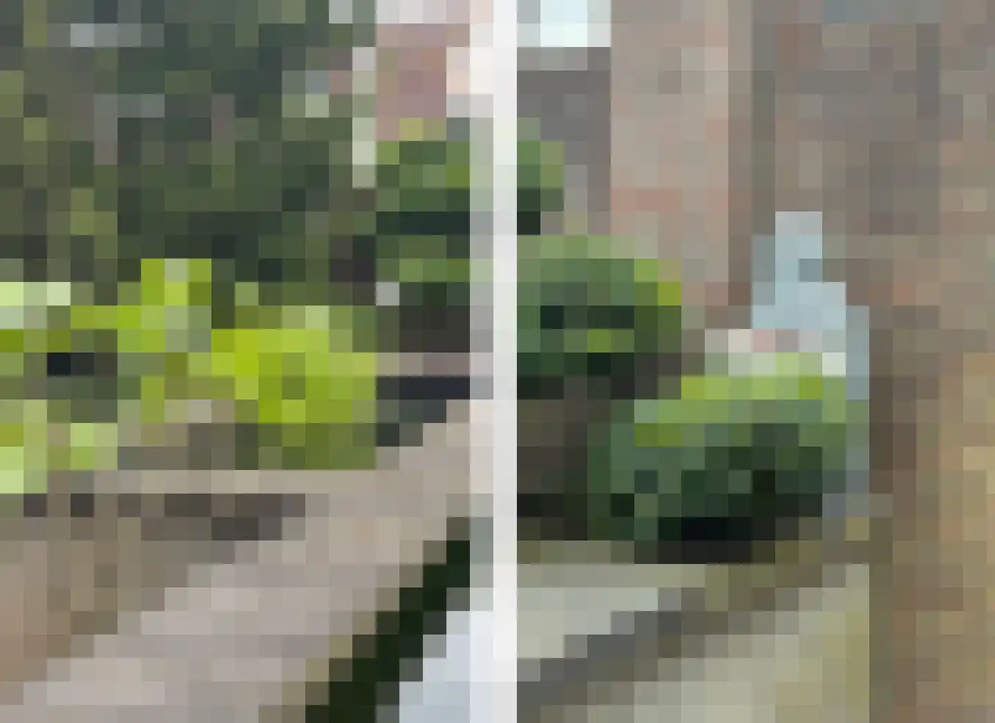 Kerklaan 12 Opheusden thumbnail 43
