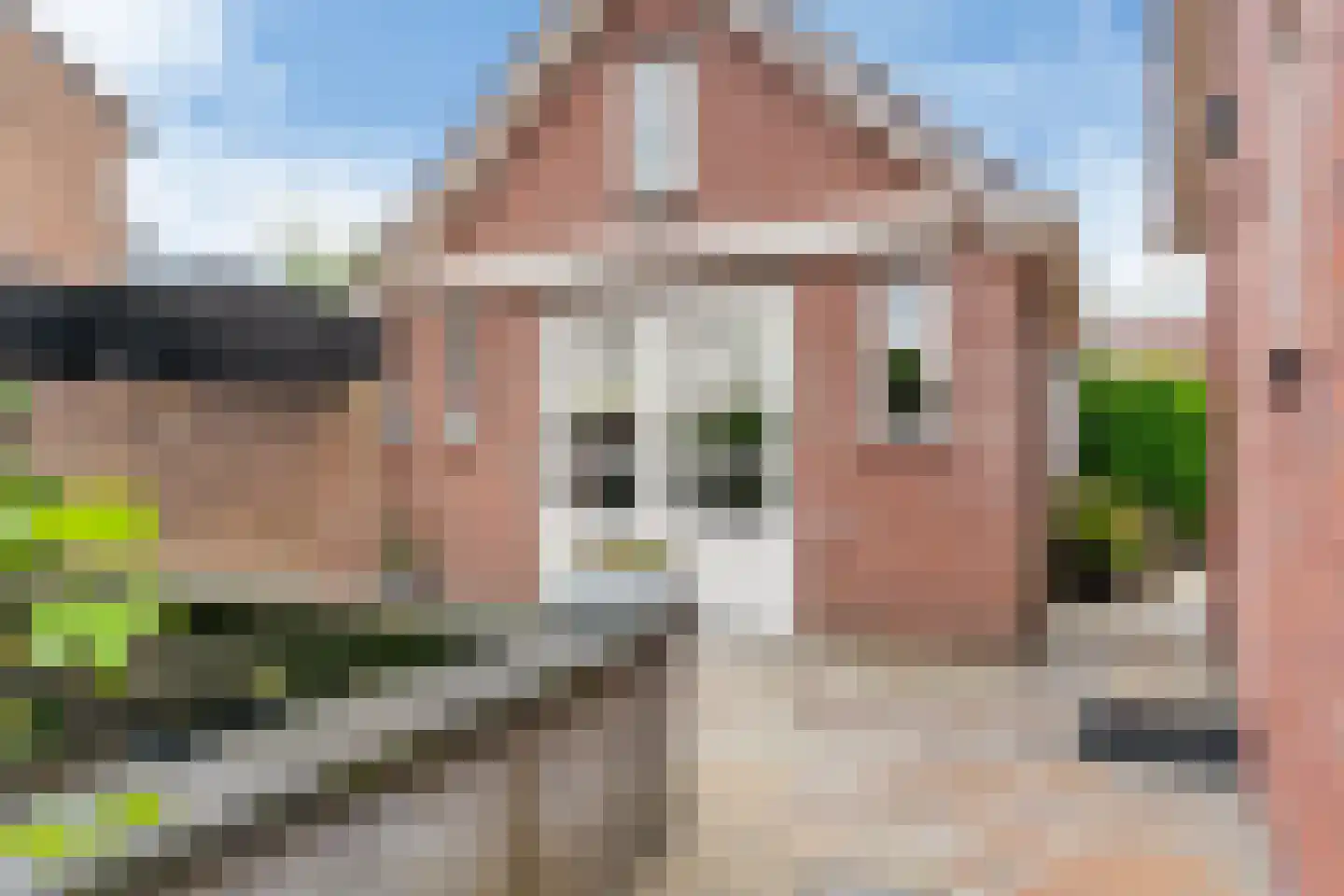 Kerklaan 12 Opheusden thumbnail 44