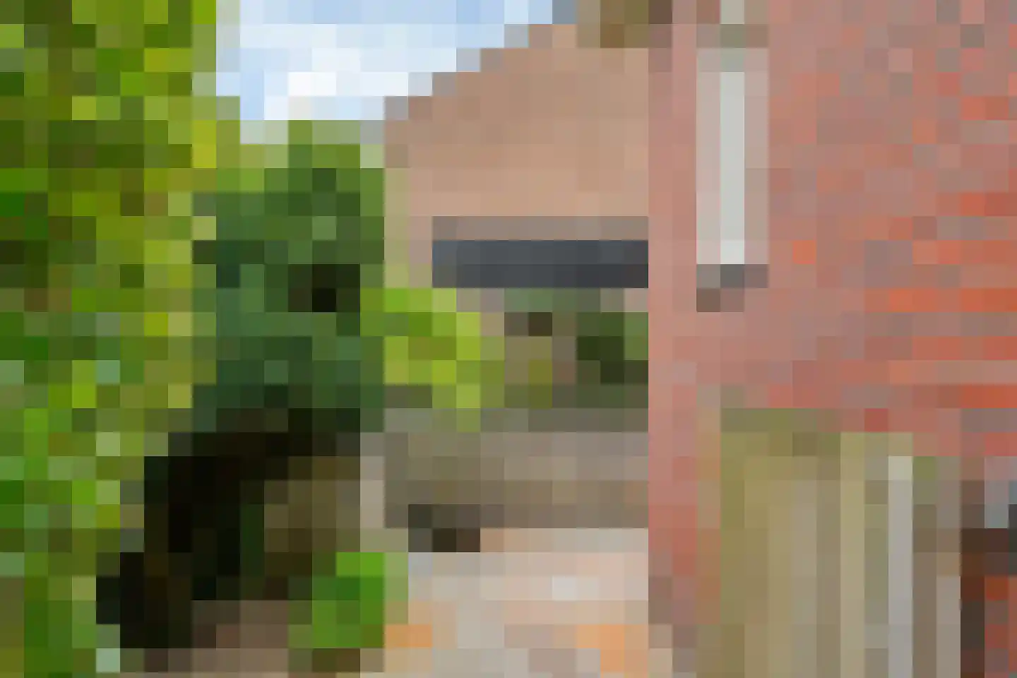 Kerklaan 12 Opheusden thumbnail 46