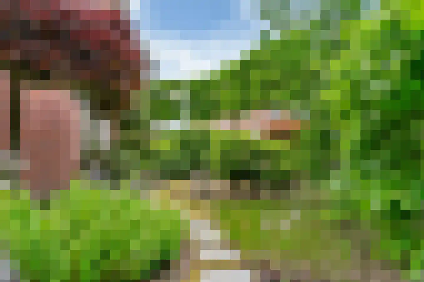 Kerklaan 12 Opheusden thumbnail 47