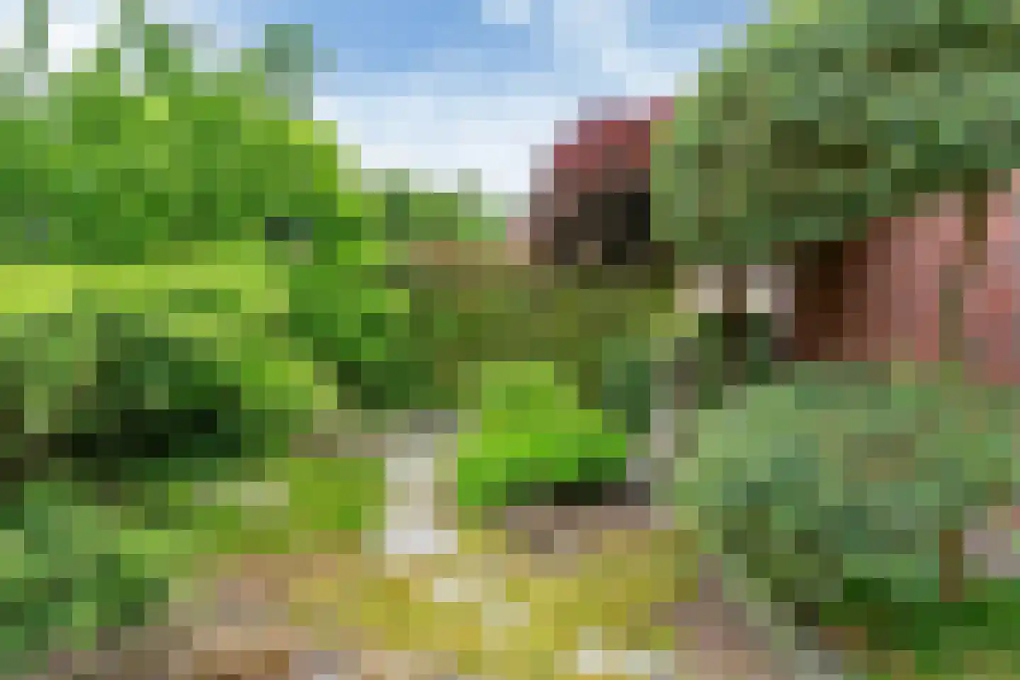 Kerklaan 12 Opheusden thumbnail 49