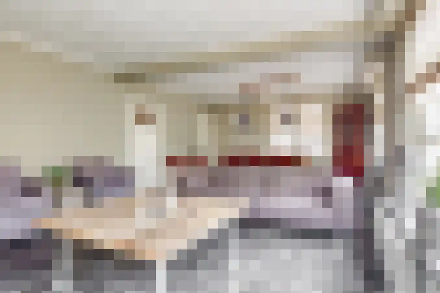 Kerklaan 12 Opheusden thumbnail 8