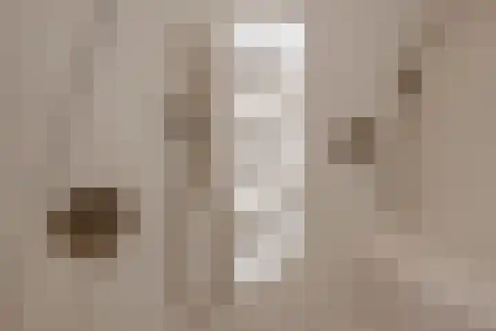 Kerklaan 122 Rijswijk thumbnail 29
