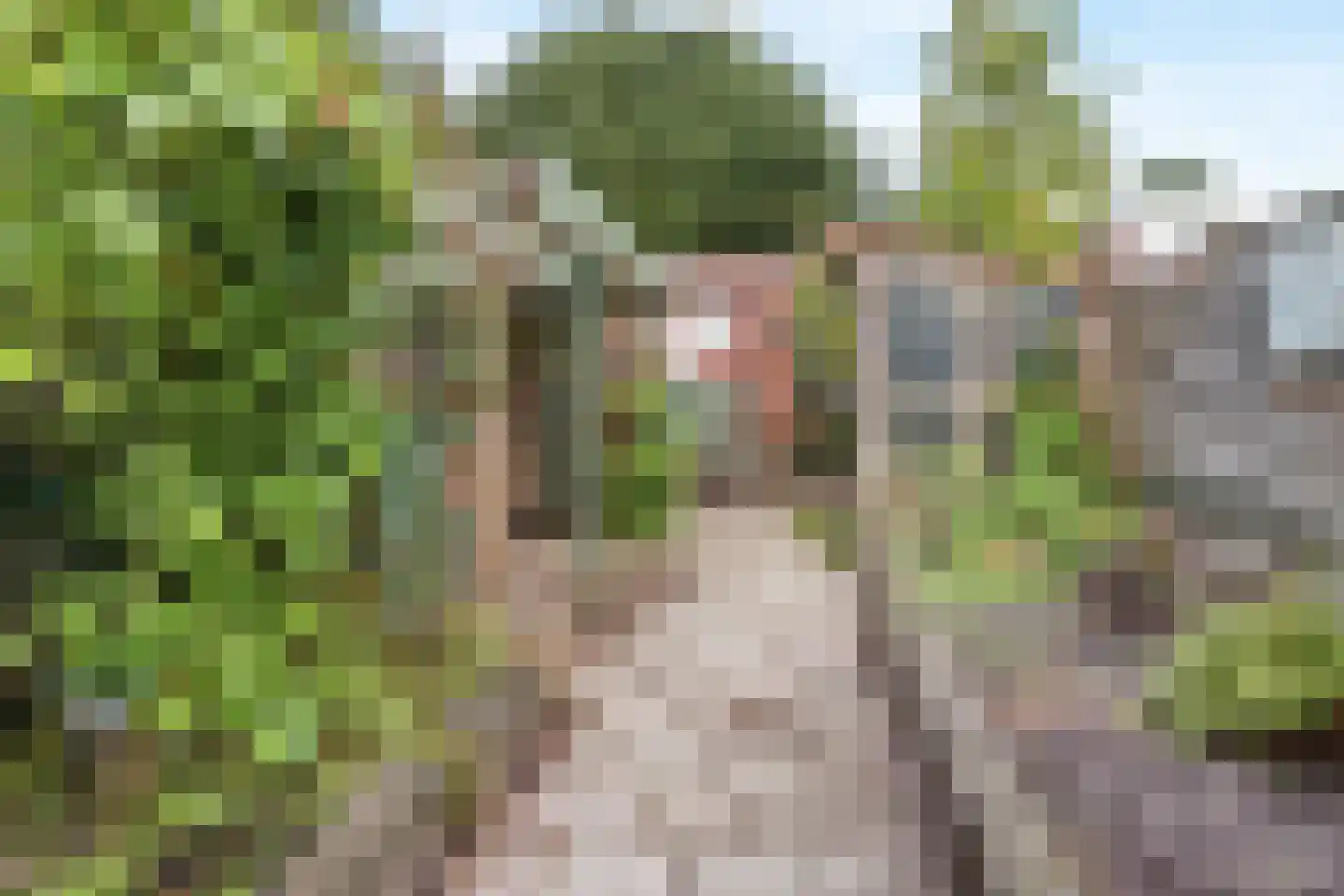 Kerklaan 13 De Bilt thumbnail 19