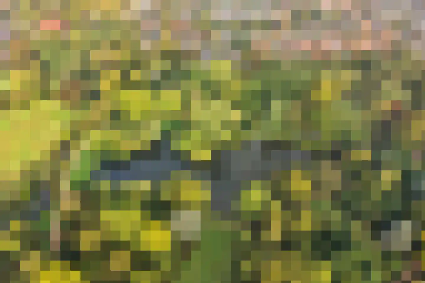 Kerklaan 13 De Bilt thumbnail 26