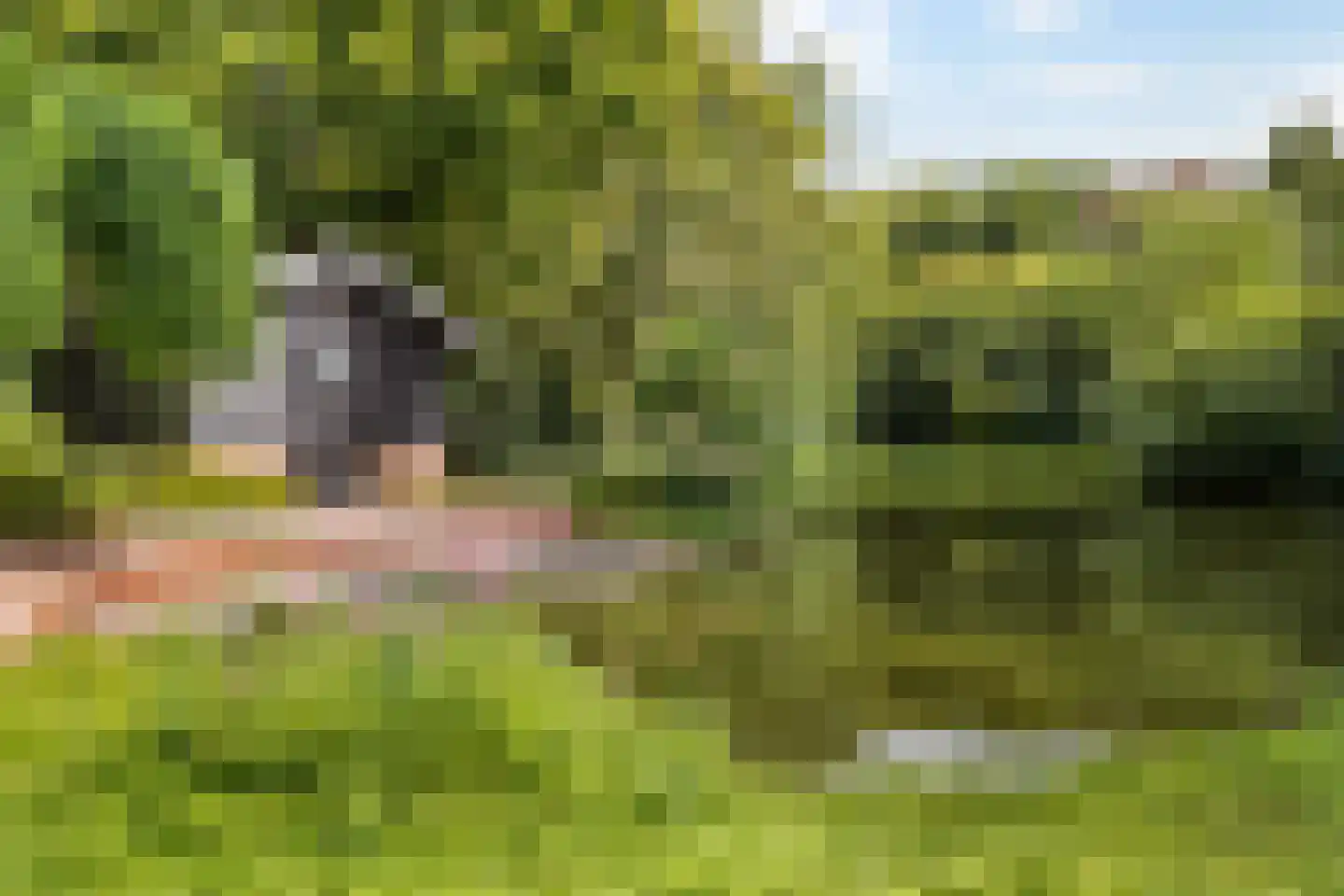Kerklaan 13 De Bilt thumbnail 27