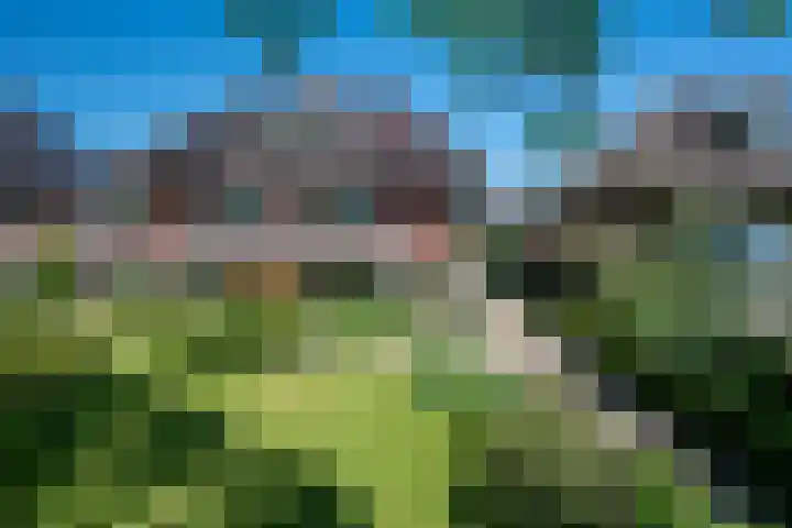 Kerklaan 13 Haren Gn thumbnail 10