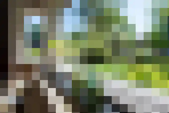 Kerklaan 13 Haren Gn thumbnail 16